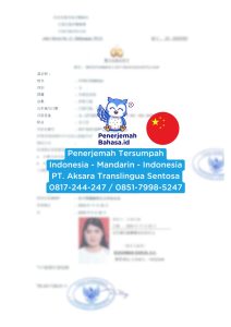 IMG-20241209-WA0039-212x300