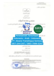 IMG-20241209-WA0042-212x300